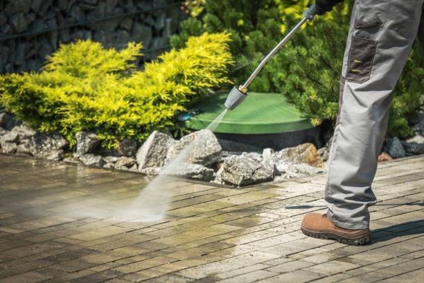 Best Sidewalk and Walkway Cleaning  in Bloomfield, MO